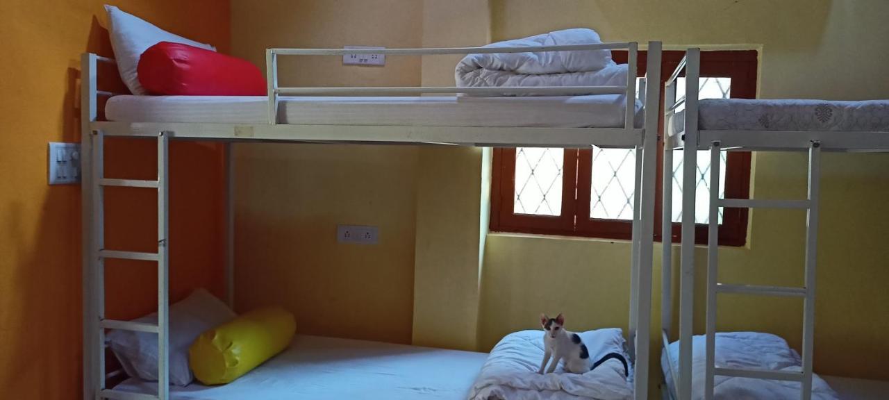 Red Monkeys Hostel Arambol Dış mekan fotoğraf